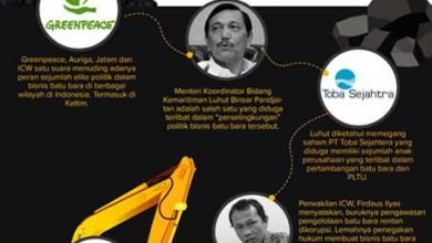 “Perselingkuhan” Elite Politik dalam Bisnis Batu Bara
