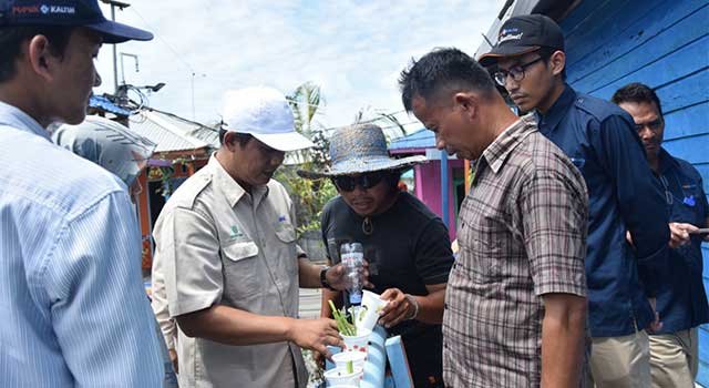 Hijaukan Melahing, Pupuk Kaltim Transfer Ilmu Bercocok Tanam di Atas Air
