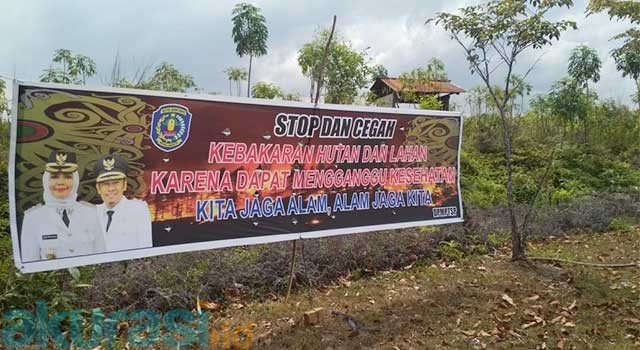 Empat Tahun Terakhir, Ratusan Hektare Lahan Terbakar
