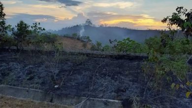Waspada!! Ratusan Hektare Lahan Pernah Terbakar di Bontang