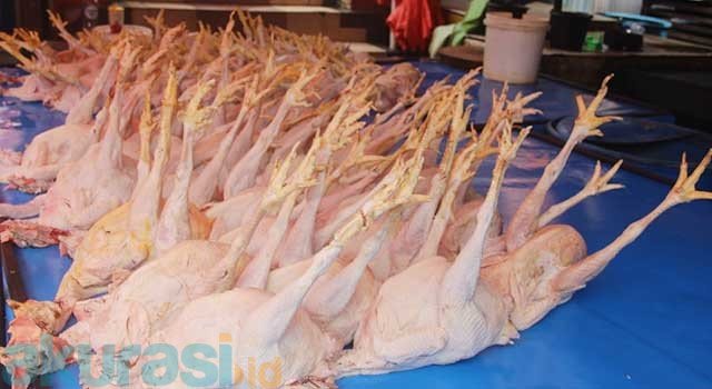 Ayam Ras Tak Terjual, Pedagang Terancam Bangkrut