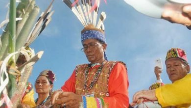 Mengintip Pesta Adat Lom Plai, Ritual Syukur Warga Wehea untuk Dewi Padi