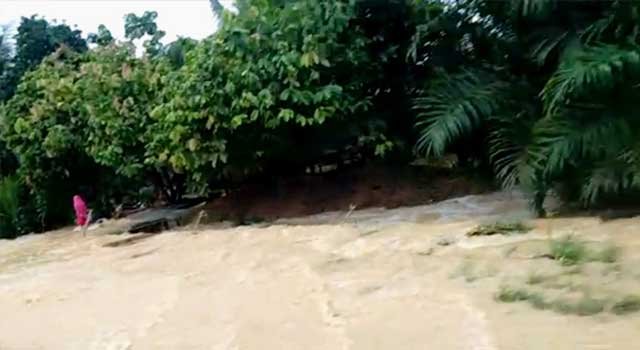 Teluk Pandan Diterjang Banjir, Banyak Ternak Milik Warga yang Mati