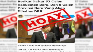 Viral Dua Kabupaten di Kaltim Gagal Jadi DOB, Mendagri Tegaskan Hoaks