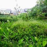 Dijual Tanah Bersertifikat Hak Milik Dengan Ukuran 10x33 Meter.