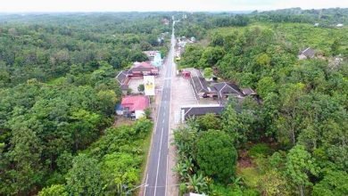 Isran Beri Garansi Pembangunan Ibu Kota Negara Bebas dari “Tengkulak” Tanah