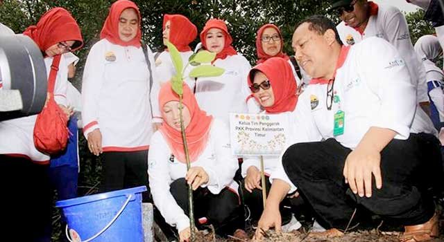 Kota Taman Terpilih dalam Aksi Cinta Lingkungan di 12 Provinsi