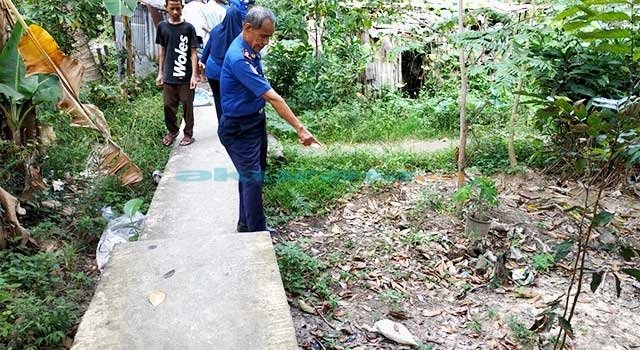 Ular Piton Sepanjang 3 Meter Menelan Ternak Warga