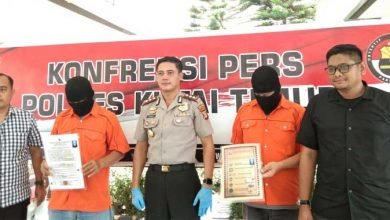 presiden king of king