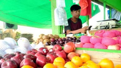 Buah Lokal