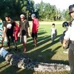 Lapangan Golf Sintuk