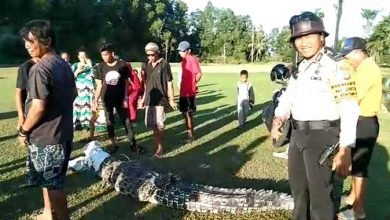 Lapangan Golf Sintuk