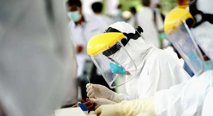 rapid test covid-19