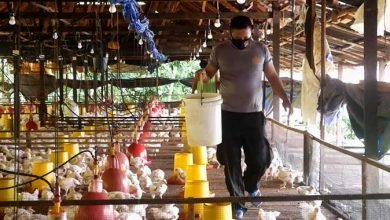 JAGA KEAMANAN NEGARA