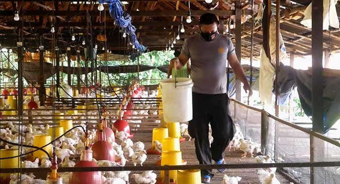 JAGA KEAMANAN NEGARA