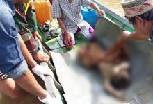 Hilang 10 Hari, Bocah 3 Tahun Ditemukan Tersangkut di Kayu