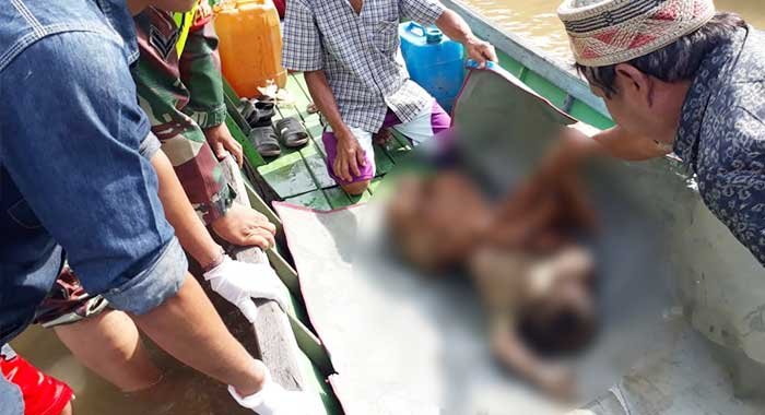 Hilang 10 Hari, Bocah 3 Tahun Ditemukan Tersangkut di Kayu
