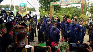 Ngotot Gelar HKAN di Tengah Covid-19, Kepala TNK Angkat Bicara, Anggap Ini Pertaruhan