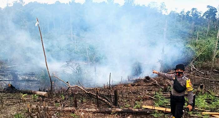 Hutan Bontang Lestari Terbakar, 2 Warga Kalsel Terancam 5 Tahun Penjara
