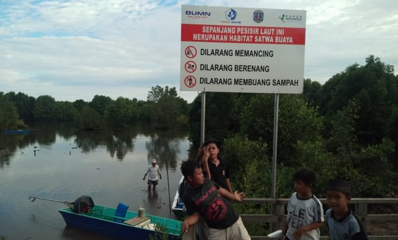 Pasca Penerkaman Buaya, BKSDA Pasang Plang Peringatan
