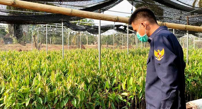 Waspada Tambang Ambruk Lagi, DPRD Ingin Pemprov Kaltim Serius Garap Pertanian