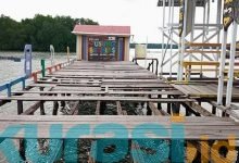 Banjir Rob Pulau Gusung Membuat  Jembatan dan Rumah Warga Rusak