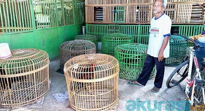 Ratusan Ayam Mati, Perternak Unggas di Kampung Jawa Merugi