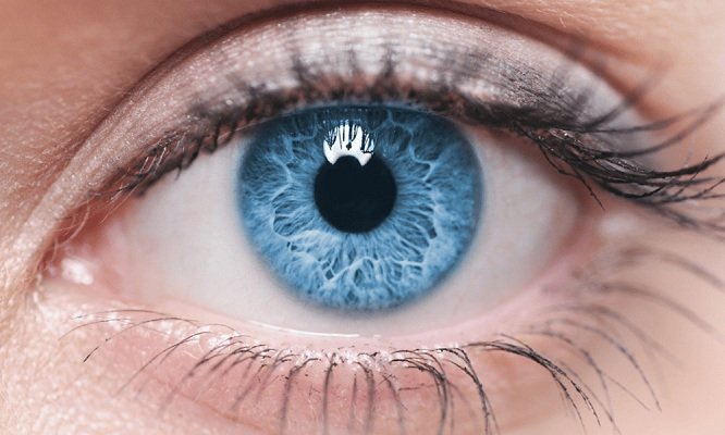 Cara Menjaga Mata dengan Baik yang Menjadi Organ Terpenting