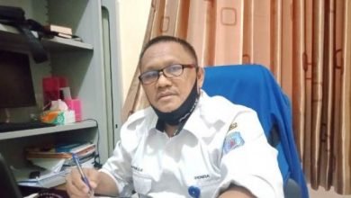 400 Bangunan Sarang Walet, Bapenda Akui Hanya Peroleh Rp1 Juta dari Pajak