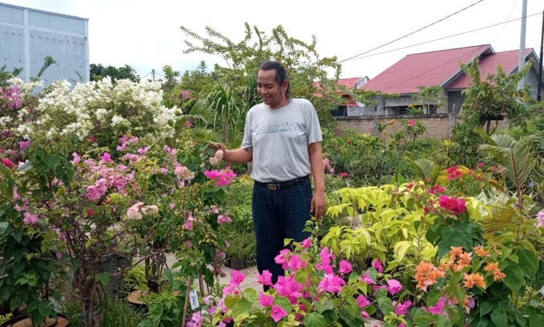 Wanginya Bisnis Tanaman Hias, Omzet Rp 60 Juta saat Pandemi