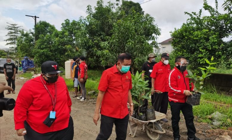 HUT ke-48 PDI Perjuangan, Kader se-Indonesia Serentak Tanam Pohon