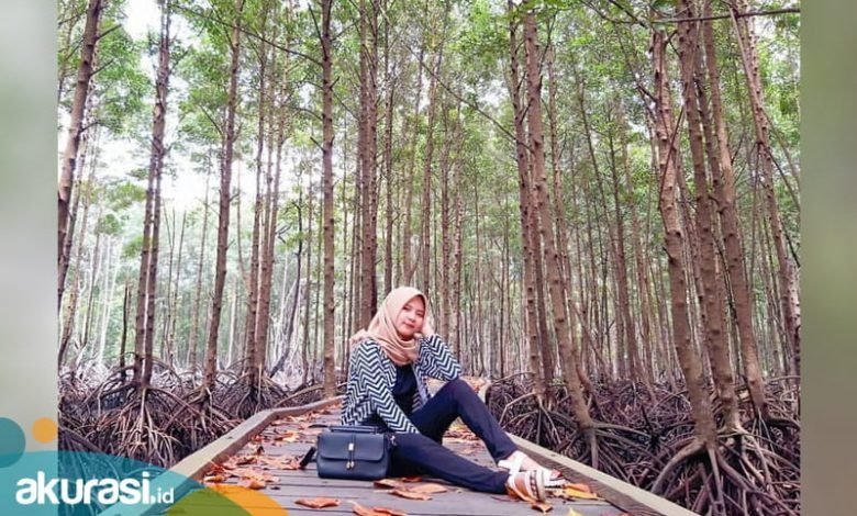 Imbas Pemberlakuan PPKM di Bontang, Wisata Mangrove Park TNK Ditutup hingga 31 Januari 2021