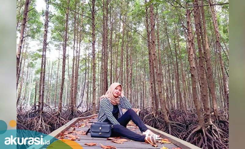 Imbas Pemberlakuan PPKM di Bontang, Wisata Mangrove Park TNK Ditutup hingga 31 Januari 2021