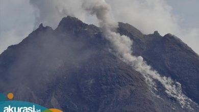 Dalam 6 Jam, Lava Pijar Gunung Merapi Dimuntahkan 17 Kali Pagi Ini