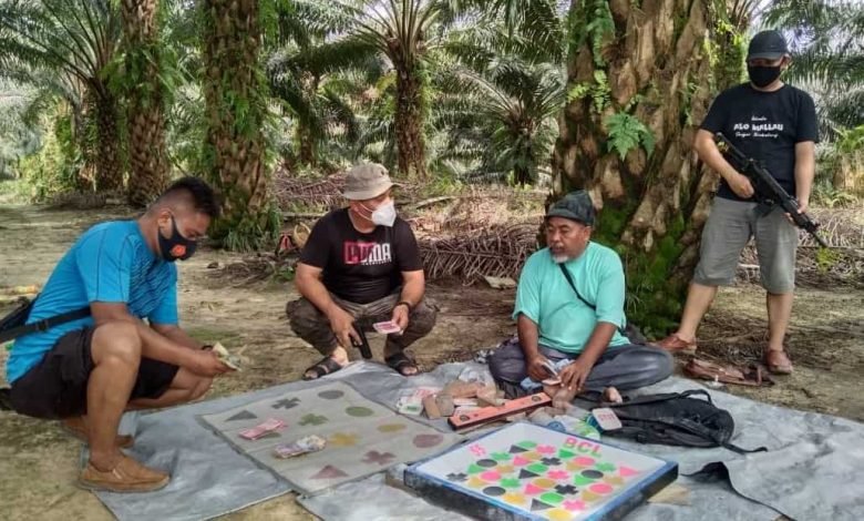 Didatangi Polisi, Penjudi Bola Guling di Berau Kocar-kacir di Kebun Sawit, Amankan Motor hingga Uang