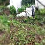 Waduh! Mesin Mati Saat Nanjak, Truk Pengangkut Gas Terjun ke Jurang