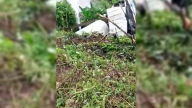 Waduh! Mesin Mati Saat Nanjak, Truk Pengangkut Gas Terjun ke Jurang