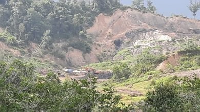 Tambang Ilegal Seruduk Pemakaman Covid-19, Dewan Geram Minta Pemkot Samarinda Sanksi Para Pelaku