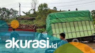 Suara Masyarakat Kaltim untuk Jokowi: Pak, Tolong Perbaiki Jalan!
