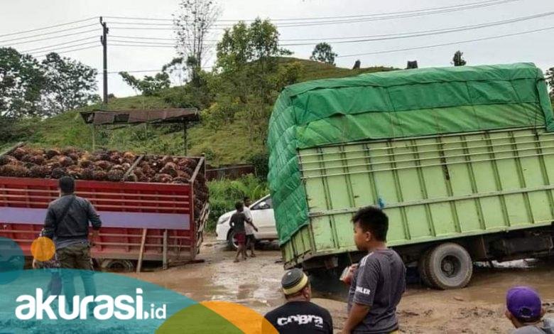 Suara Masyarakat Kaltim untuk Jokowi: Pak, Tolong Perbaiki Jalan!