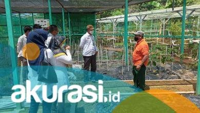 Dorong Produksi Pangan Sehat, DKP3 Bontang Usulkan Sertifikasi Prima-3 Kelompok Tani