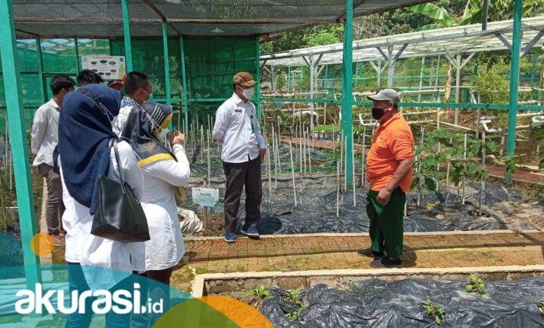 Dorong Produksi Pangan Sehat, DKP3 Bontang Usulkan Sertifikasi Prima-3 Kelompok Tani
