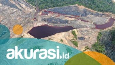 Ironi Berkepanjangan, 20 Persen APBN Berasal dari Pertambangan Kaltim, yang Kembali Hanya 4 Persen