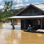 Di Balik Bencana Banjir Berau, Petaka Tambang Batu Bara hingga Oligarki Emas Hitam