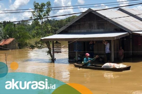 Di Balik Bencana Banjir Berau, Petaka Tambang Batu Bara hingga Oligarki Emas Hitam