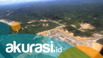 Dari Tambang hingga Ekspansi Perkebunan Sawit Turut Jadi Biang di Balik Bencana Banjir Berau