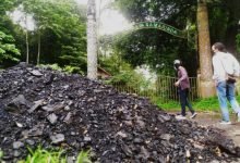 Kebun Raya Samarinda “Beralih Fungsi” Jadi Tempat Mesum, Nyabu hingga Pesta Miras