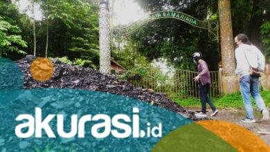 Kebun Raya Samarinda “Beralih Fungsi” Jadi Tempat Mesum, Nyabu hingga Pesta Miras