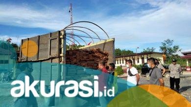 Polsek Segah Berau Tangkap 2 Tersangka Pembalakan Liar, Ratusan Kayu Meranti Diamankan