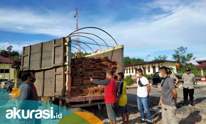 Polsek Segah Berau Tangkap 2 Tersangka Pembalakan Liar, Ratusan Kayu Meranti Diamankan